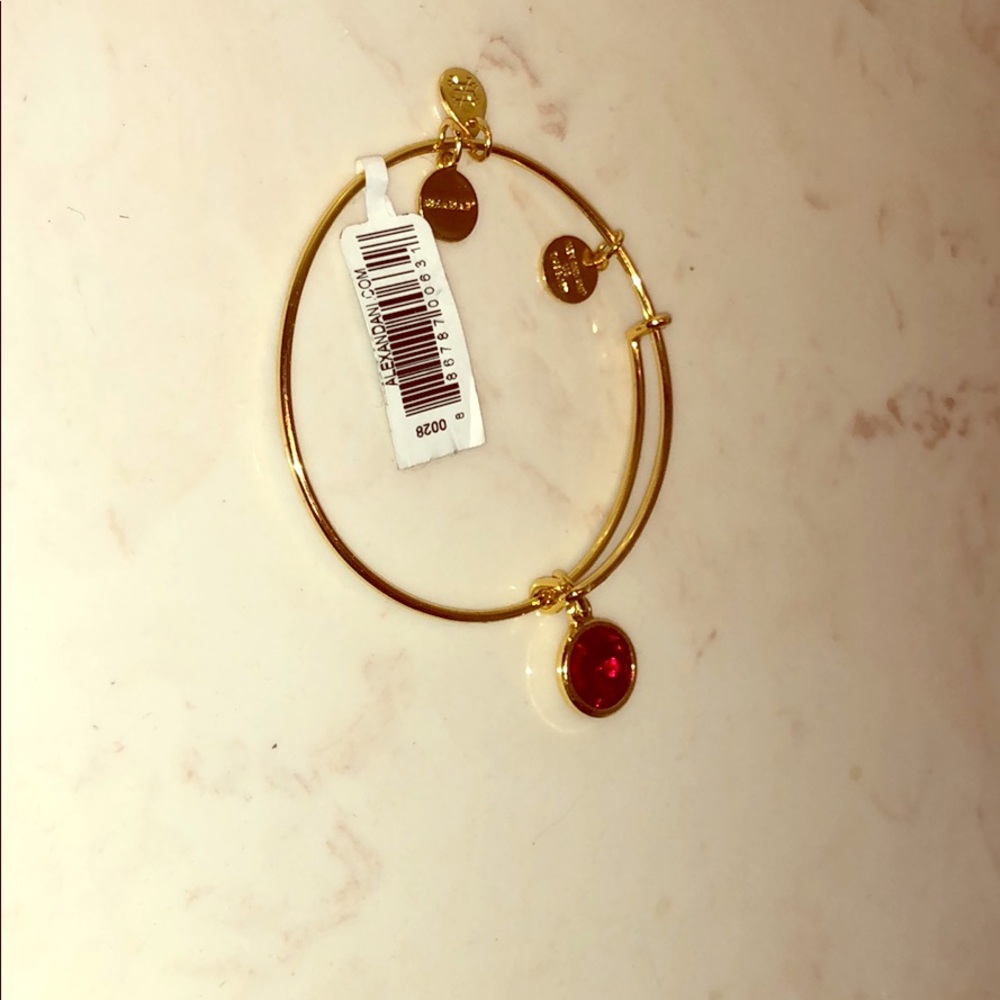 Alex and ani January birthstone bracelet